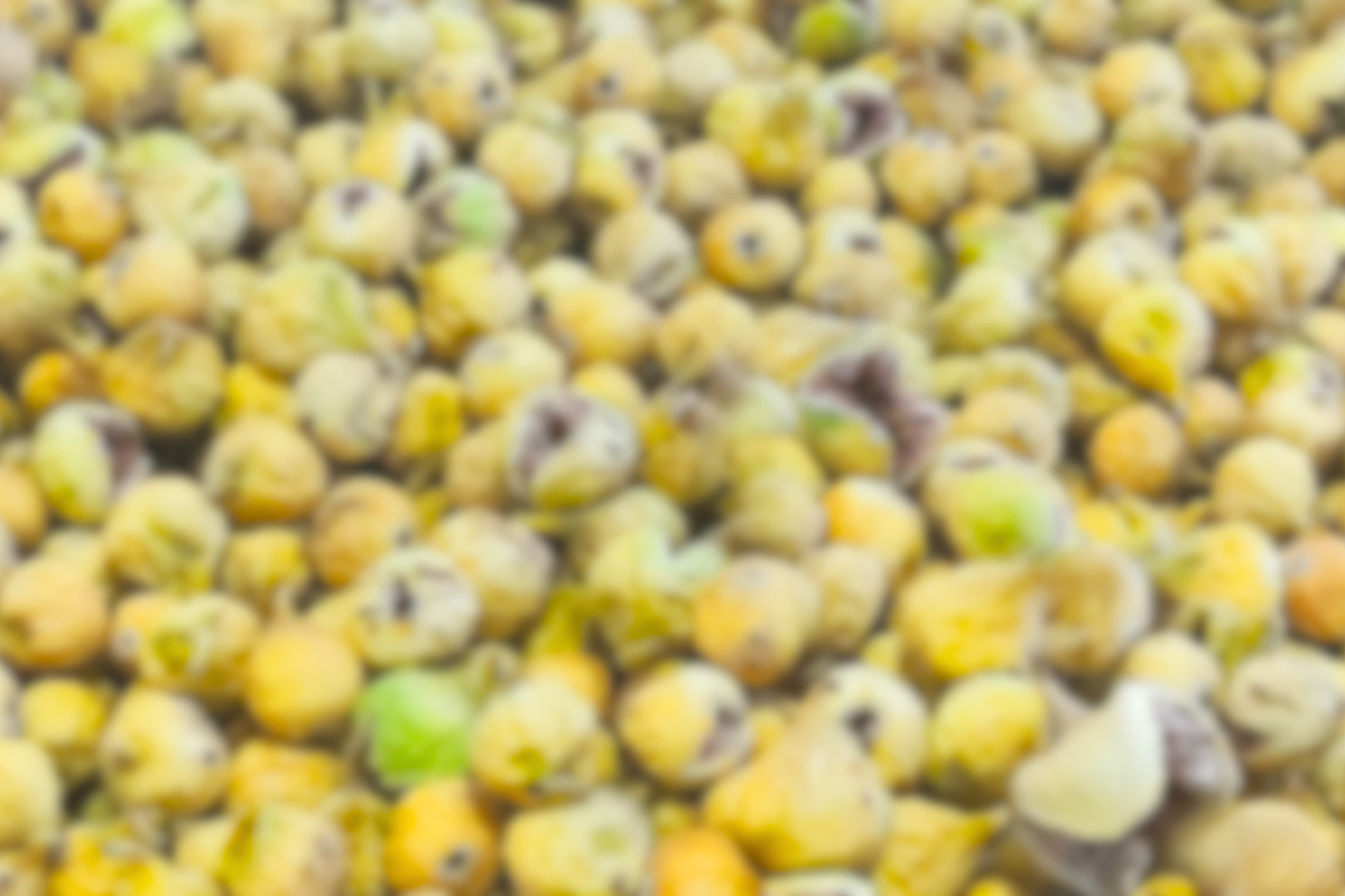 پس‌زمینه انجیر خشک استهبان